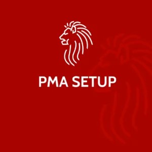 PMA-Foreign-Company-Setup